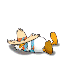 Bonnenuit