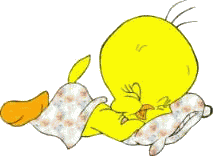 Bonnenuit
