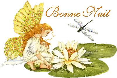 Bonnenuit