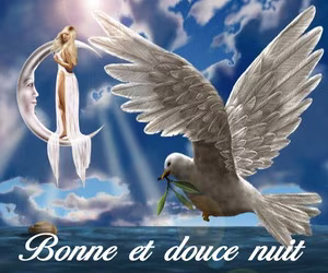 Bonnenuit