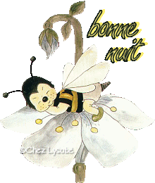 Bonnenuit
