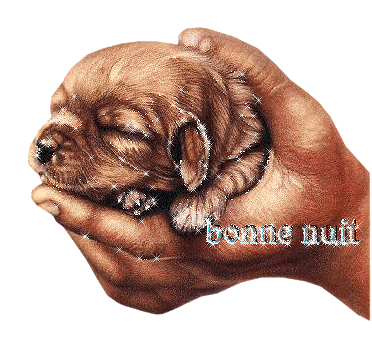 Bonnenuit