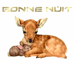 Bonnenuit