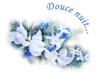 Bonnenuit