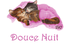 Bonnenuit