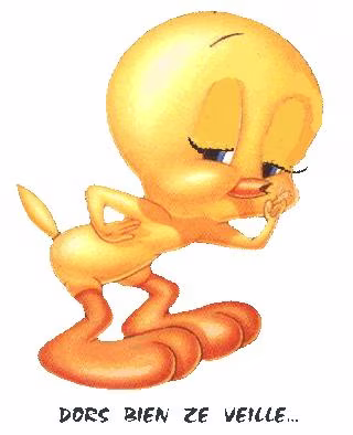 Bonnenuit