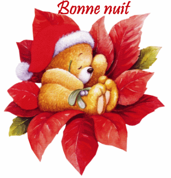 Bonnenuit
