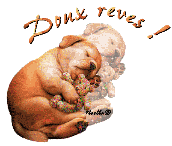 Bonnenuit