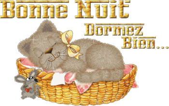 Bonnenuit