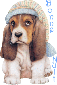 Bonnenuit