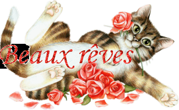 Bonnenuit