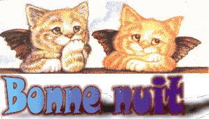 Bonnenuit