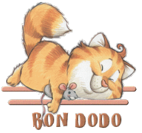 Bonnenuit