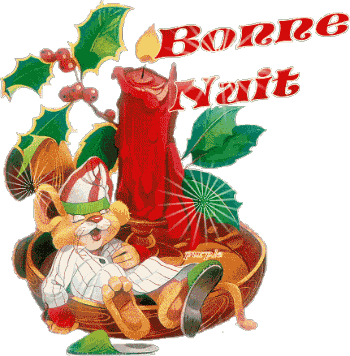 Bonnenuit