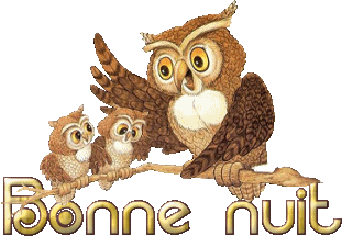 Bonnenuit