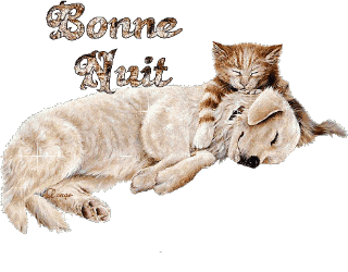 Bonnenuit