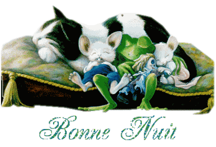 Bonnenuit