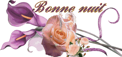 Bonnenuit