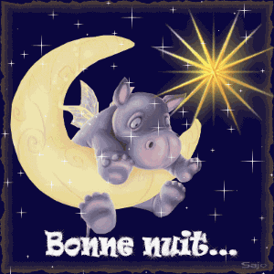 Bonnenuit
