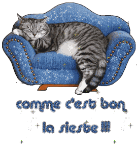 Bonnenuit