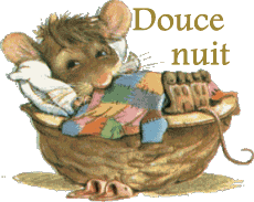 Bonnenuit