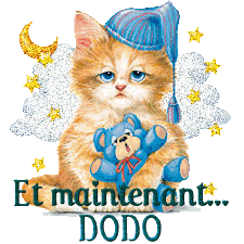 Bonnenuit