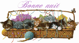 Bonnenuit