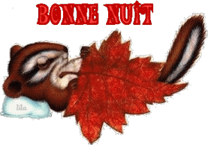 Bonnenuit