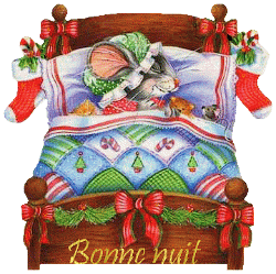 Bonnenuit