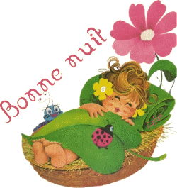 Bonnenuit