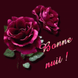 Bonnenuit