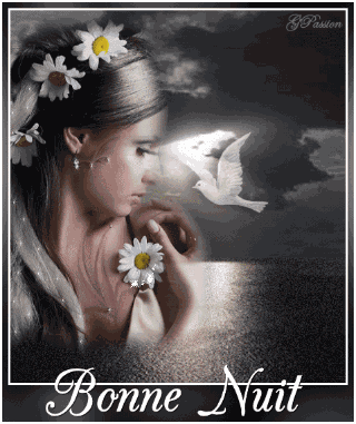 Bonnenuit