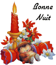 Bonnenuit