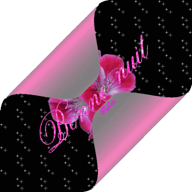 Bonnenuit