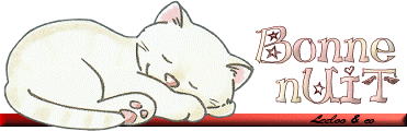 Bonnenuit