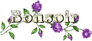 Bonsoir