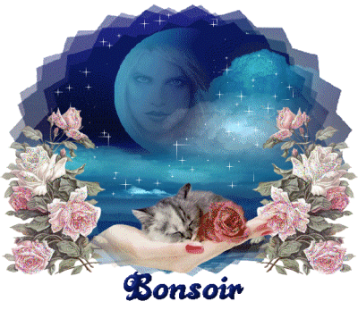 Bonsoir