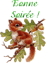 Bonsoir