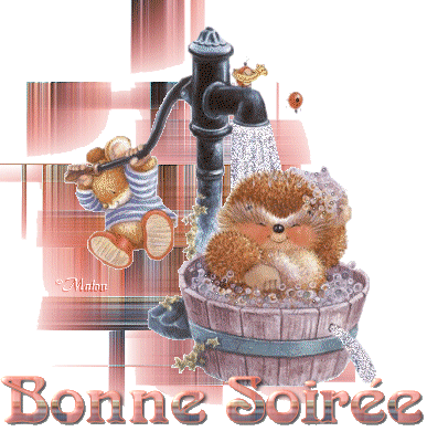 Bonsoir