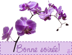 Bonsoir