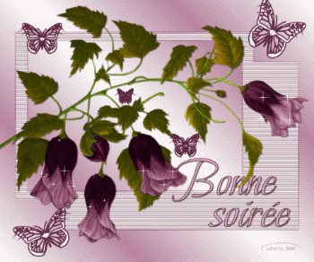 Bonsoir