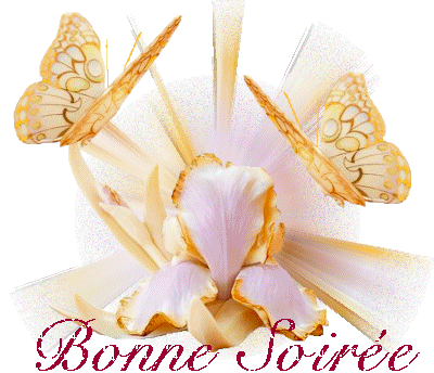 Bonsoir