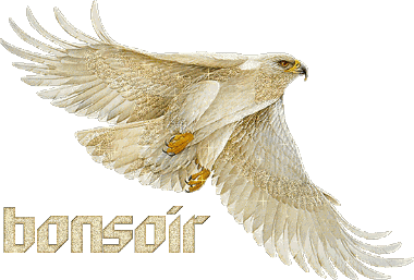 Bonsoir
