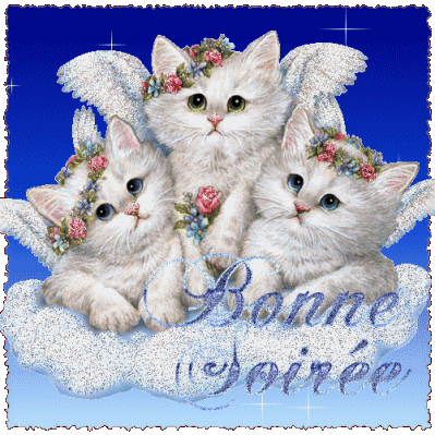 Bonsoir