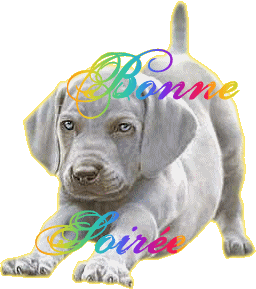 Bonsoir