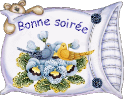 Bonsoir