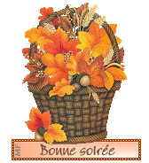 Bonsoir