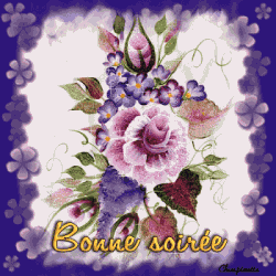 Bonsoir
