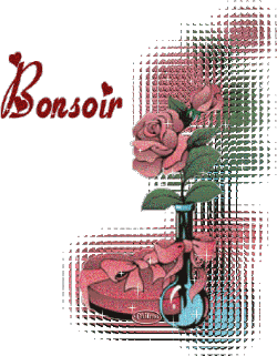 Bonsoir