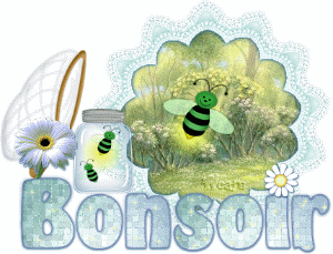 Bonsoir